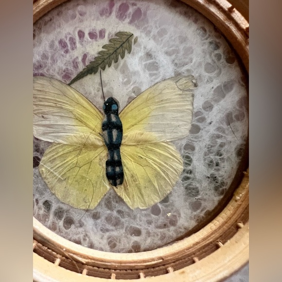 Vintage MCM Round Bamboo Serving Tray Butterfly with  Set of 2 Coasters Taiwan - Picture 3 of 8